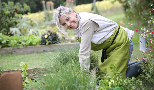 A women enjoying gardening after talking with a knee care specialists.