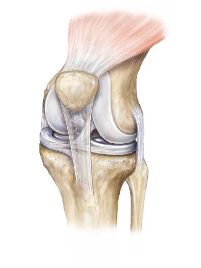 Knee Care and Treatment | Summit Orthopedics