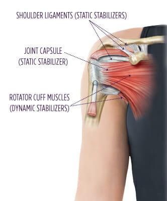 Stability in the shoulder girdle – and why it's so important – The