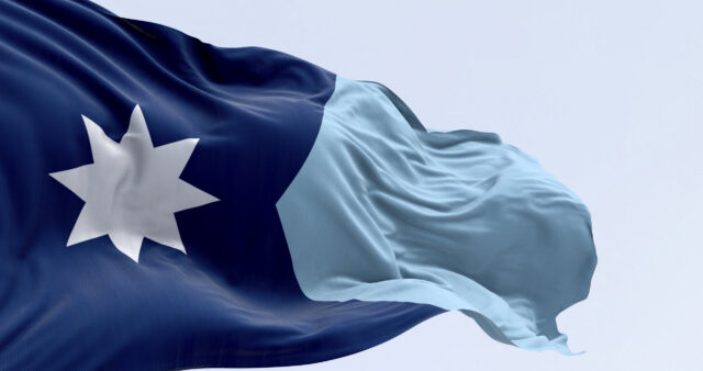 Minnesota State Flag